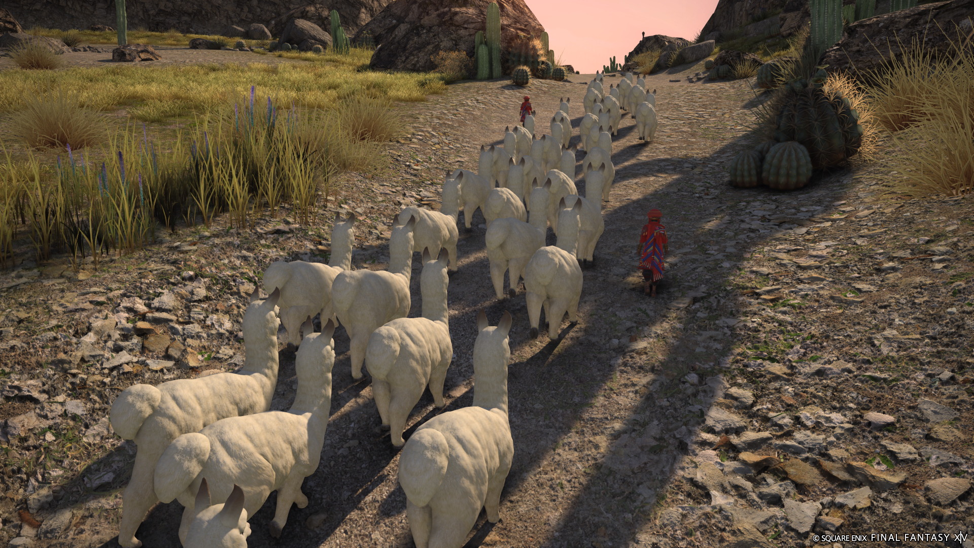 FINAL FANTASY XIV: Dawntrail - screenshot 14