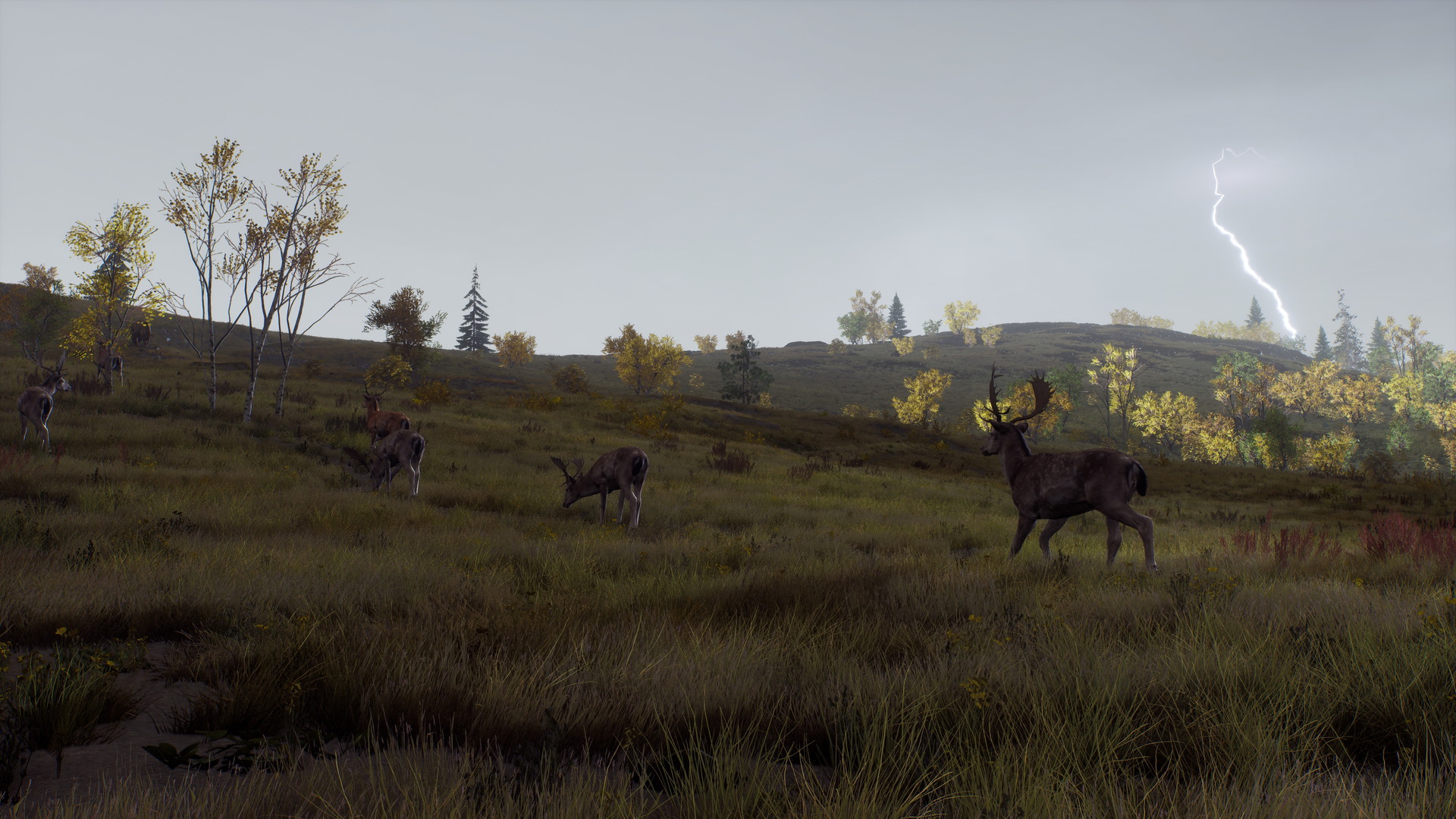 Way of the Hunter: Lintukoto Reserve - screenshot 2