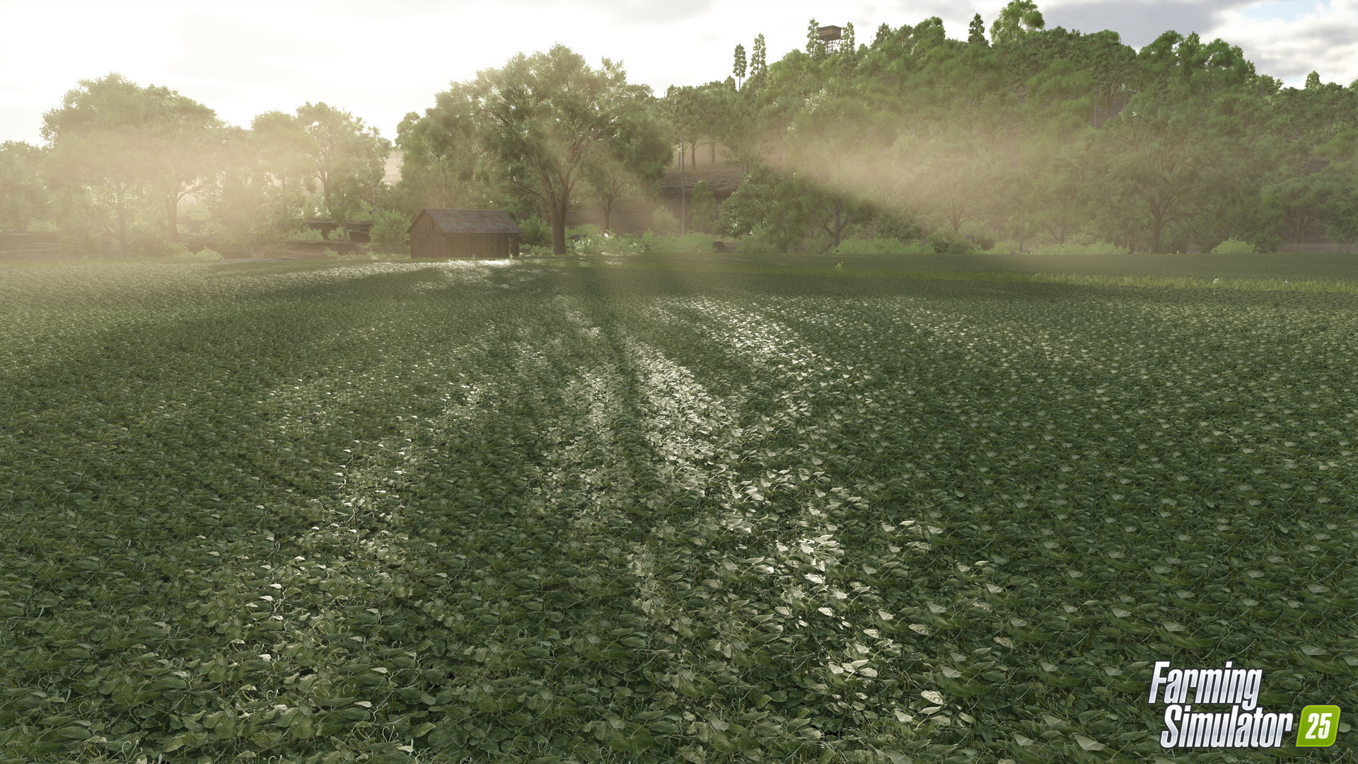 Farming Simulator 25 - screenshot 48