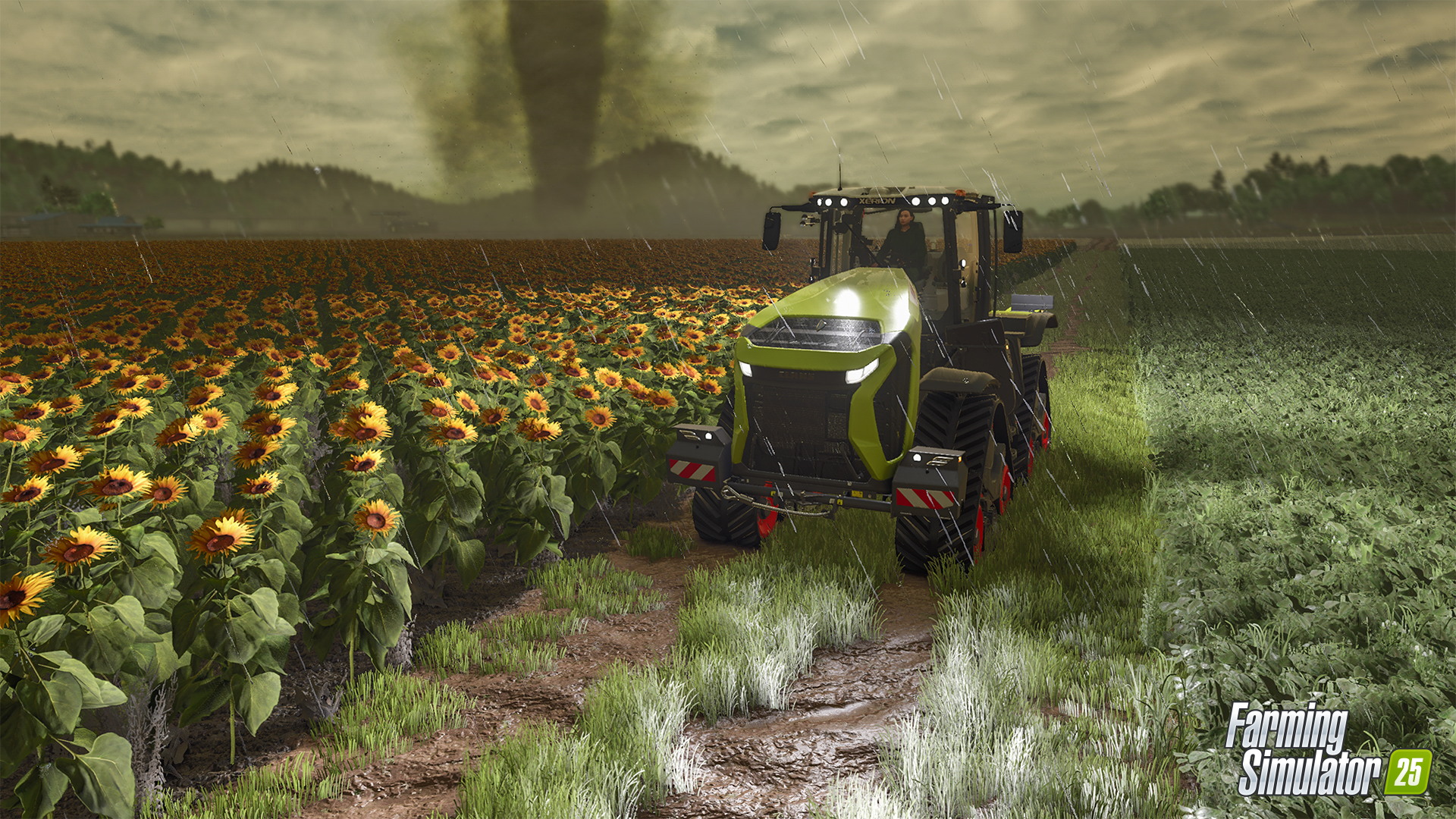 Farming Simulator 25 - screenshot 28