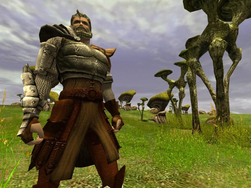 Asheron's Call 2: Fallen Kings - screenshot 26