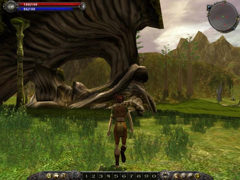 Asheron's Call 2: Fallen Kings - screenshot 17