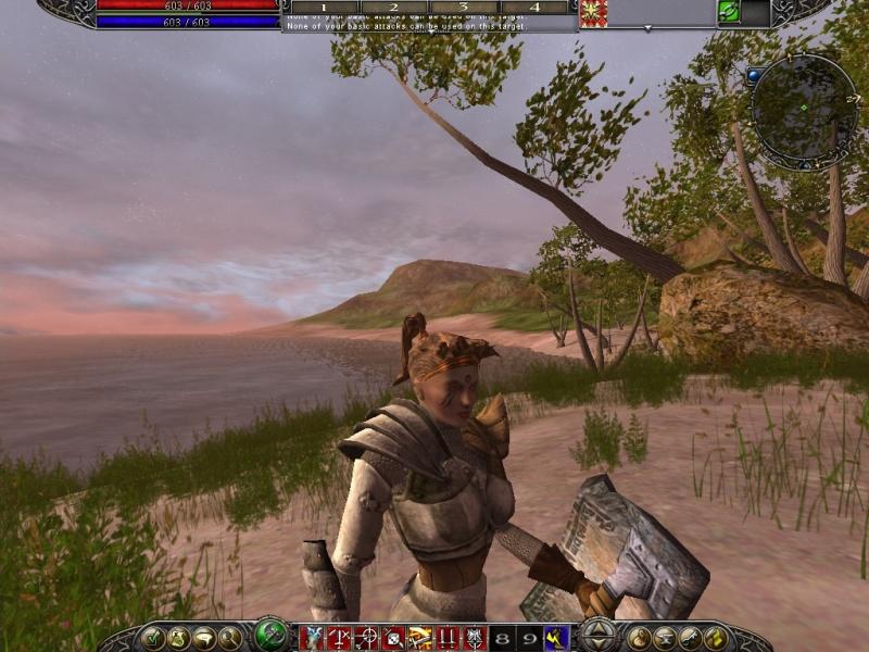 Asheron's Call 2: Fallen Kings - screenshot 10