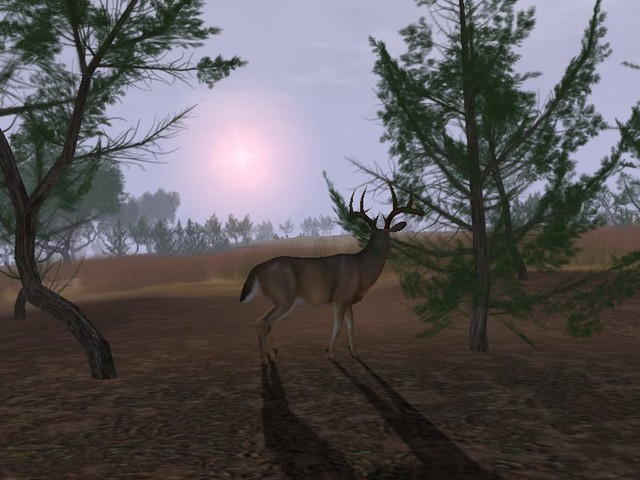 Deer Hunter 2004 - screenshot 52