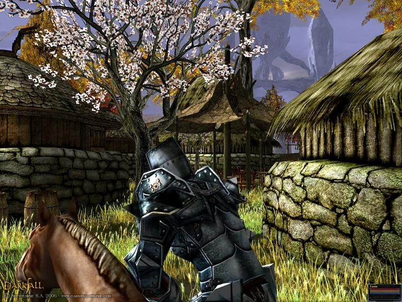 Darkfall Online - screenshot 21