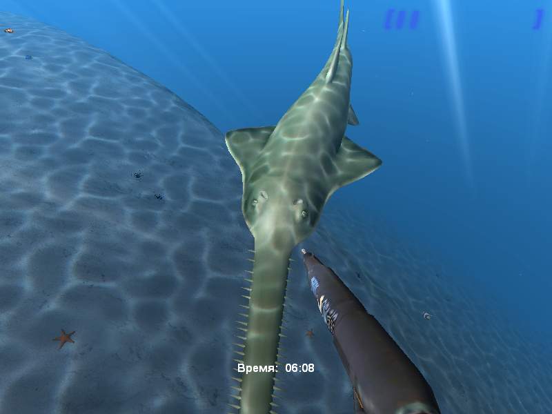 Diver: Deep Water Adventures - screenshot 111