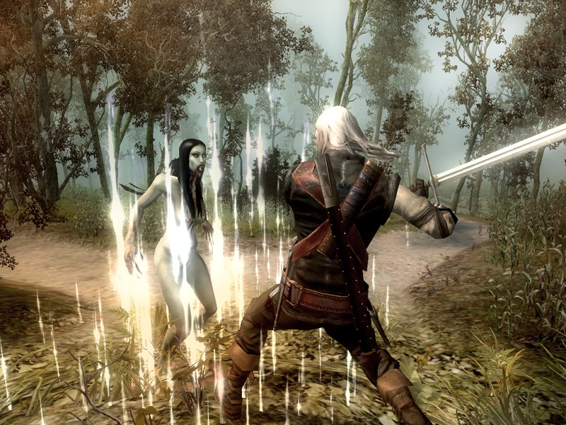 The Witcher - screenshot 57