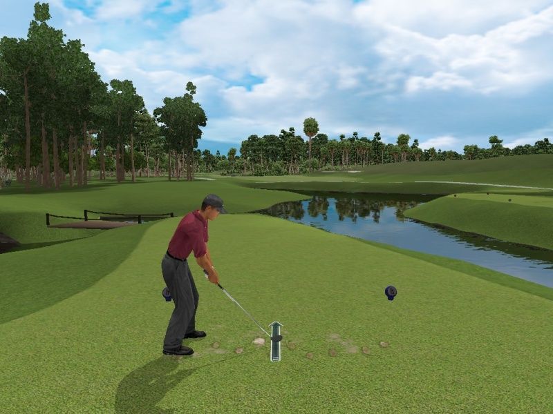 Tiger Woods PGA Tour 2002 - screenshot 22