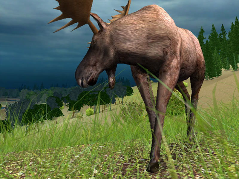 Hunting Unlimited 4 - screenshot 10