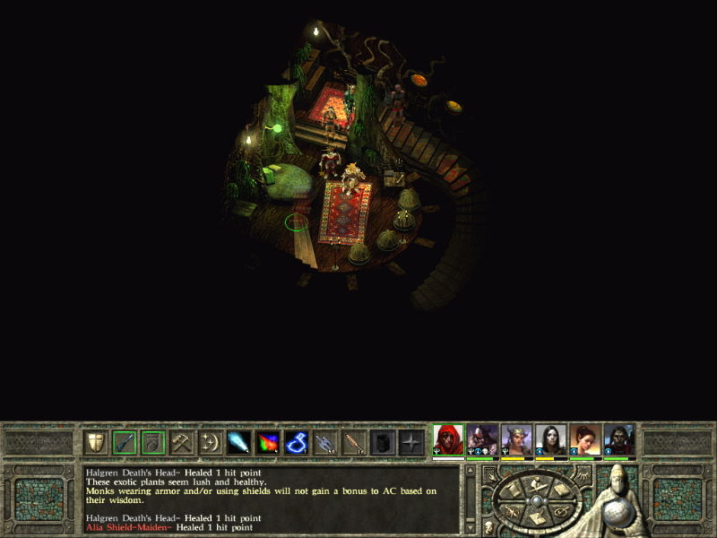 Icewind Dale 2 - screenshot 28