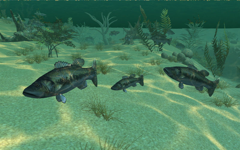 Bass Tournament Tycoon - screenshot 23