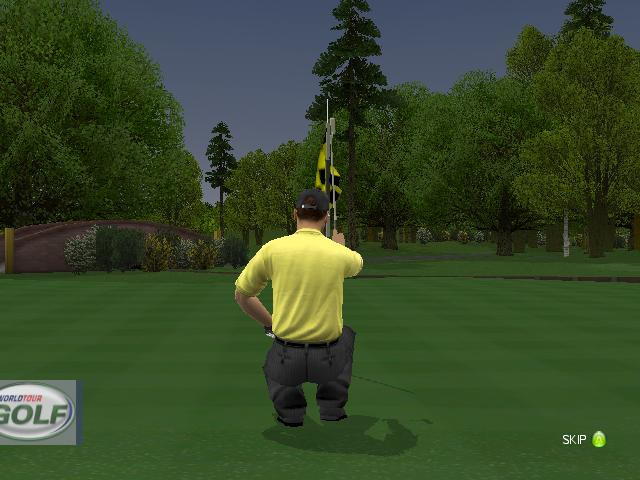 ProStroke Golf: World Tour 2007 - screenshot 40