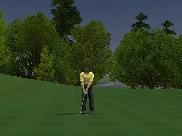 ProStroke Golf: World Tour 2007 - screenshot 39