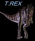 t.rex2142