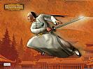 Crouching Tiger, Hidden Dragon - wallpaper #1