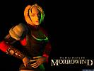 The Elder Scrolls 3: Morrowind - wallpaper #5