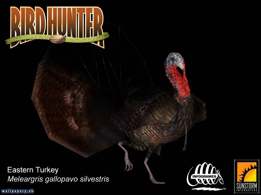 Bird Hunter 2003 - wallpaper 9