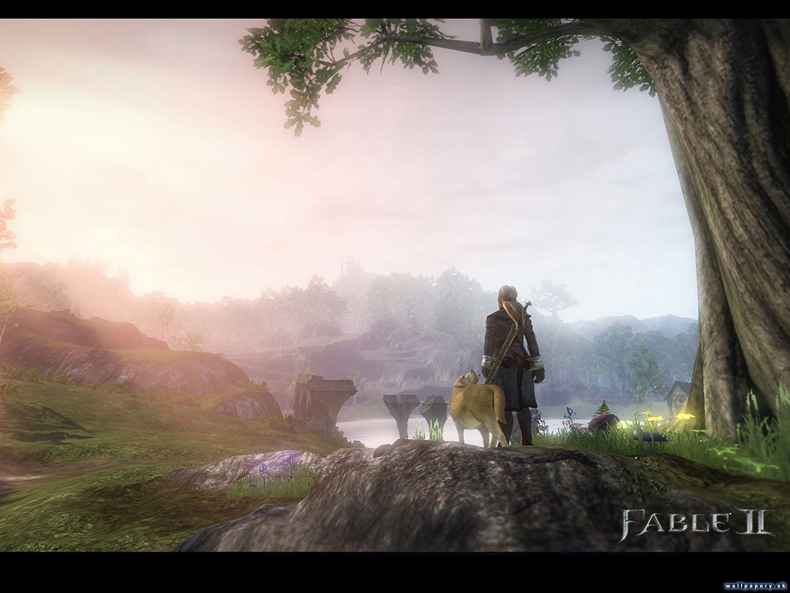 Fable II - wallpaper 27