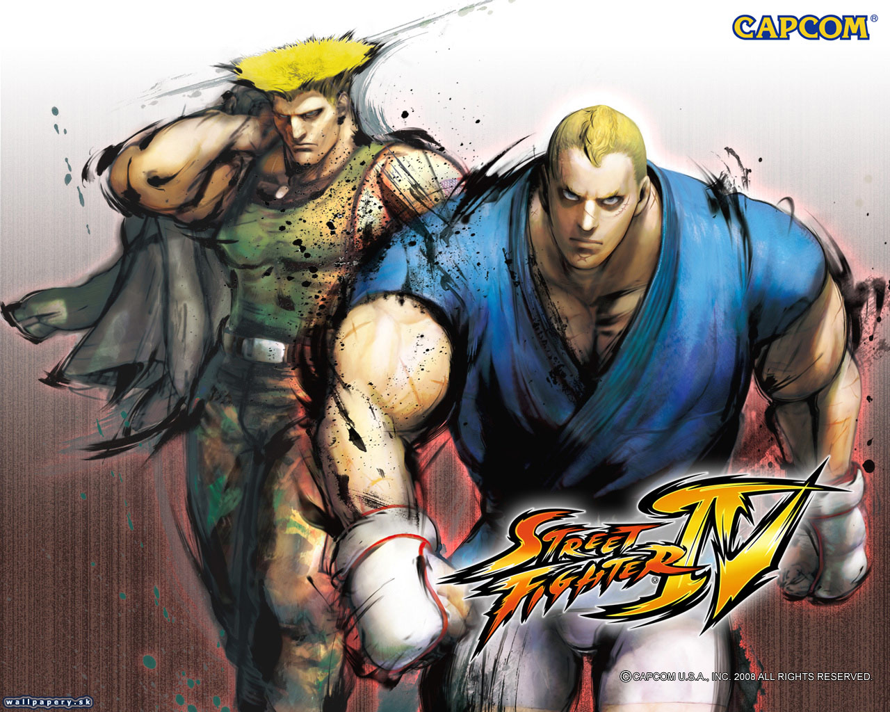 Street Fighter IV - wallpaper 14