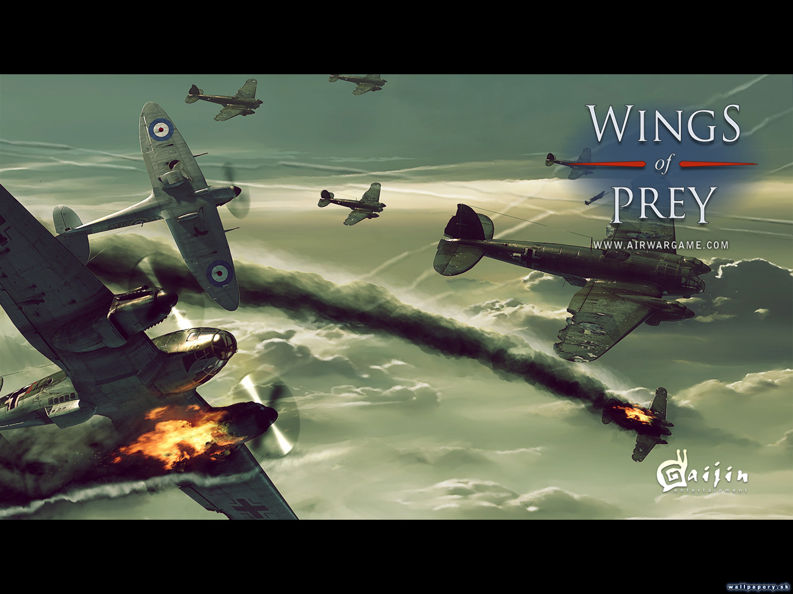 Wings of Prey - wallpaper 4