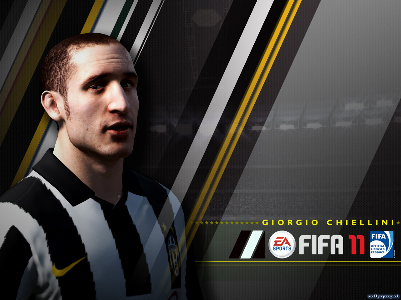 FIFA 11 - wallpaper 12