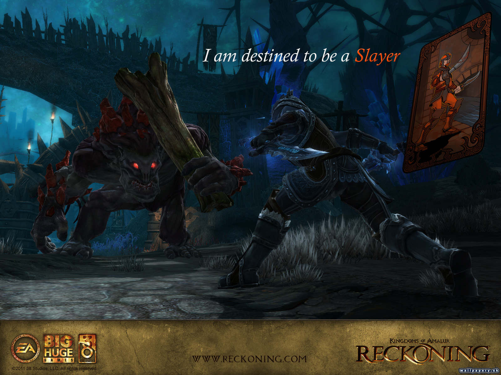 Kingdoms of Amalur: Reckoning - wallpaper 18