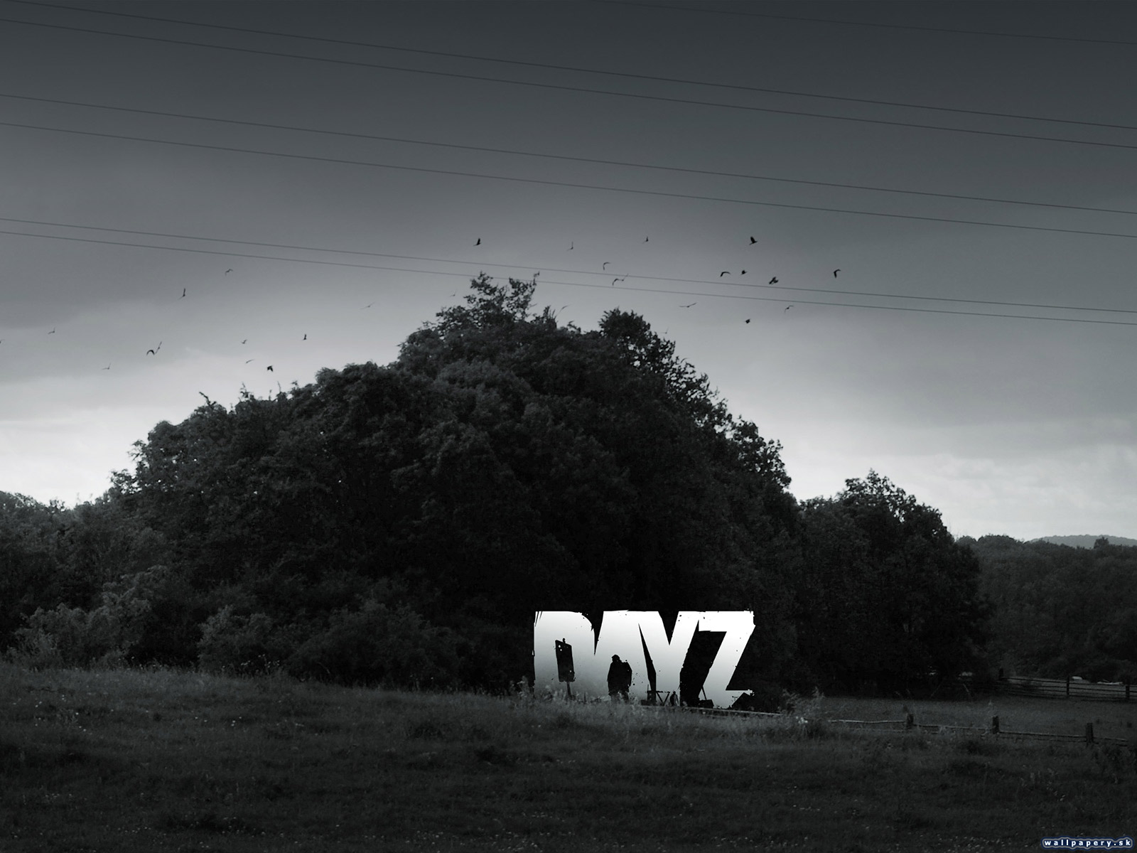 DayZ - wallpaper 6