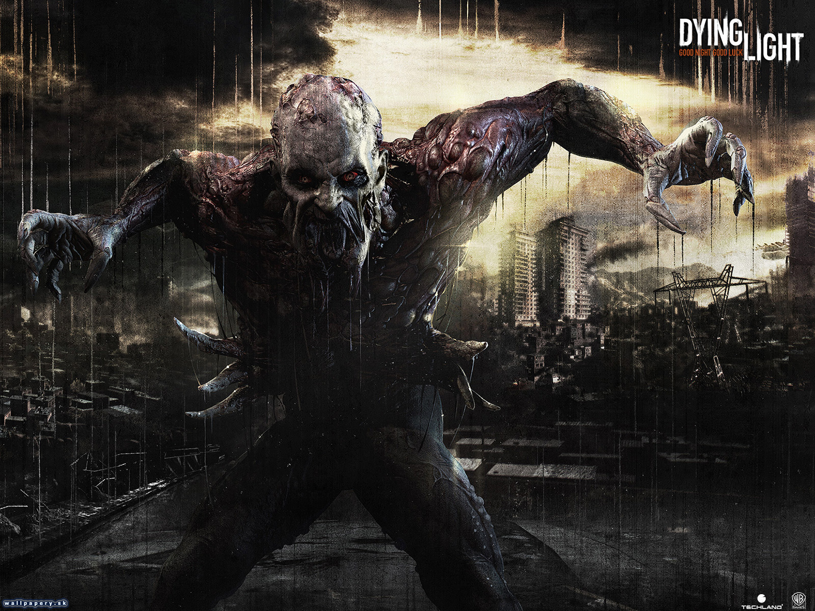 Dying Light - wallpaper 2