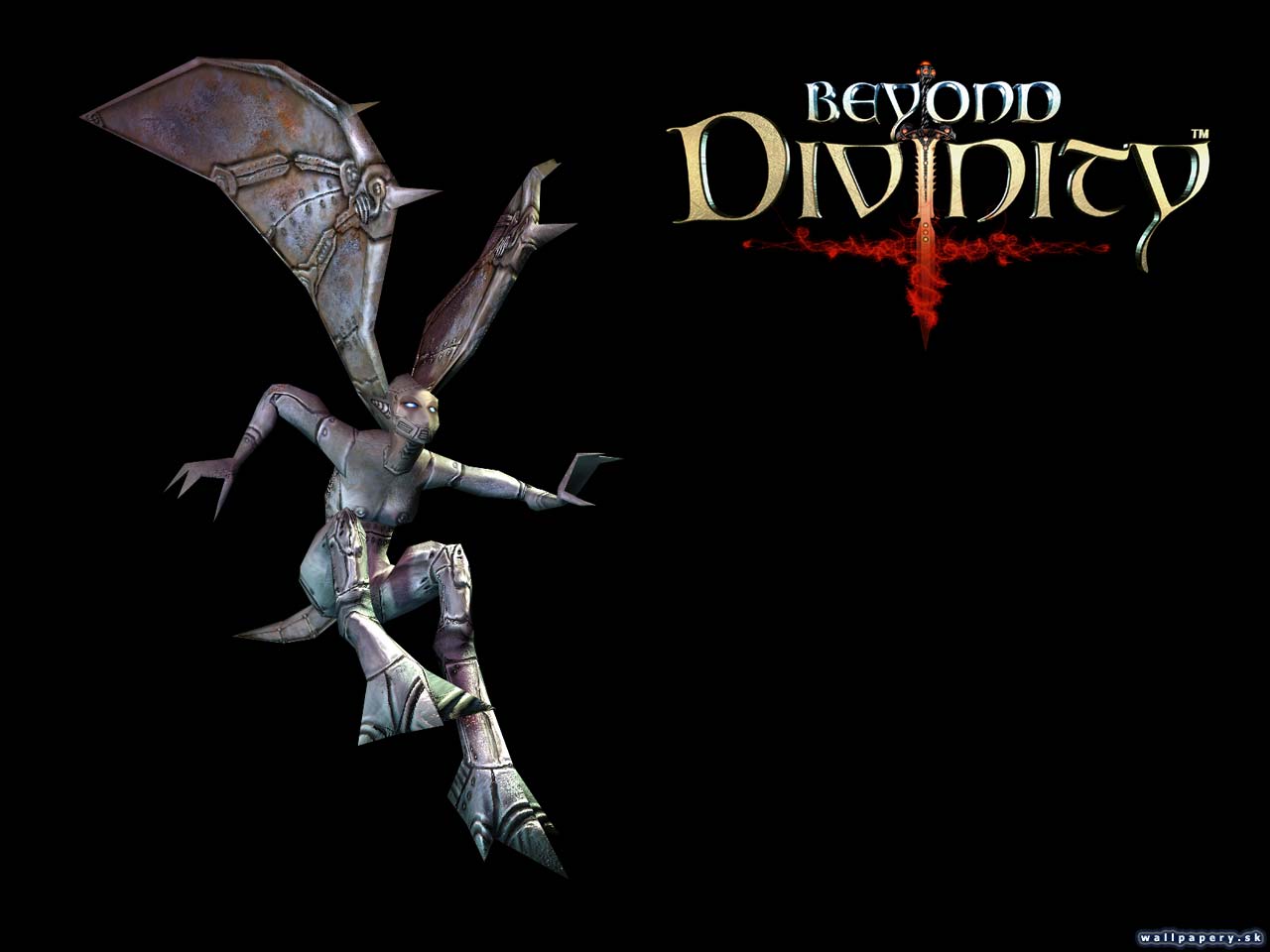 Beyond Divinity - wallpaper 1