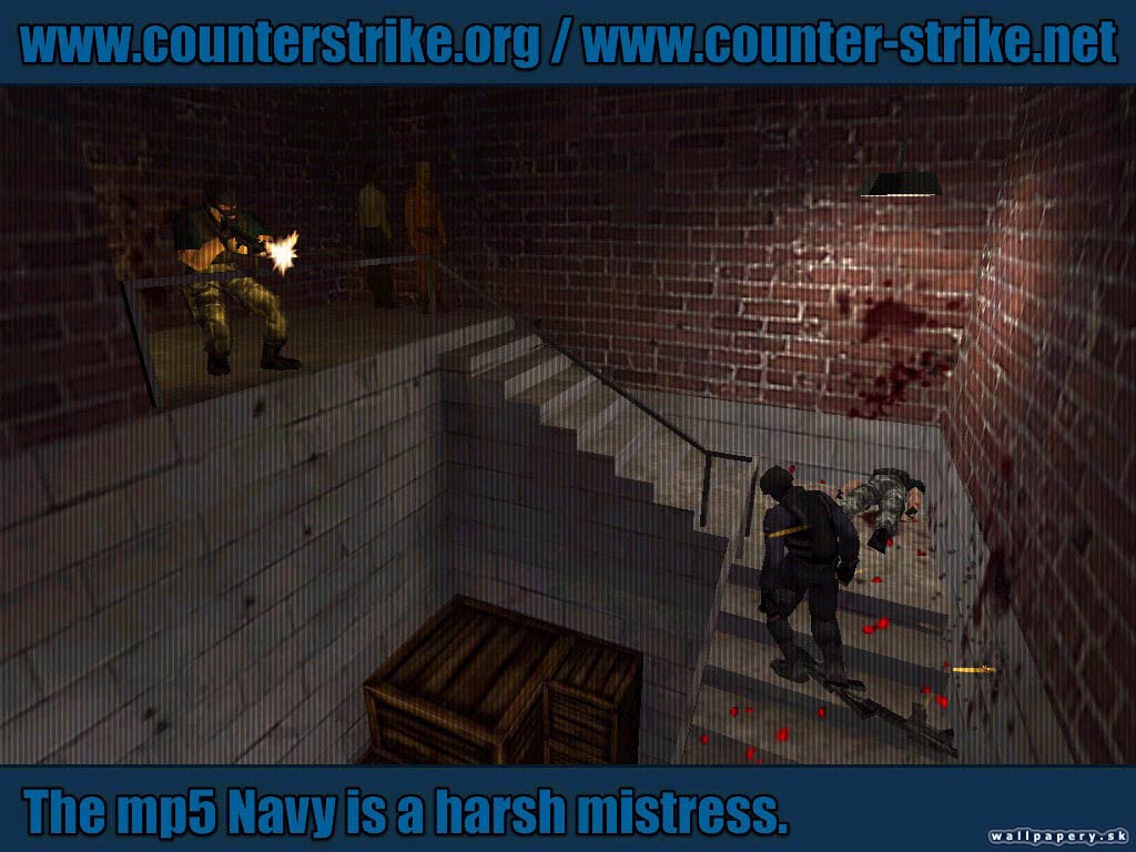 Counter-Strike - wallpaper 167